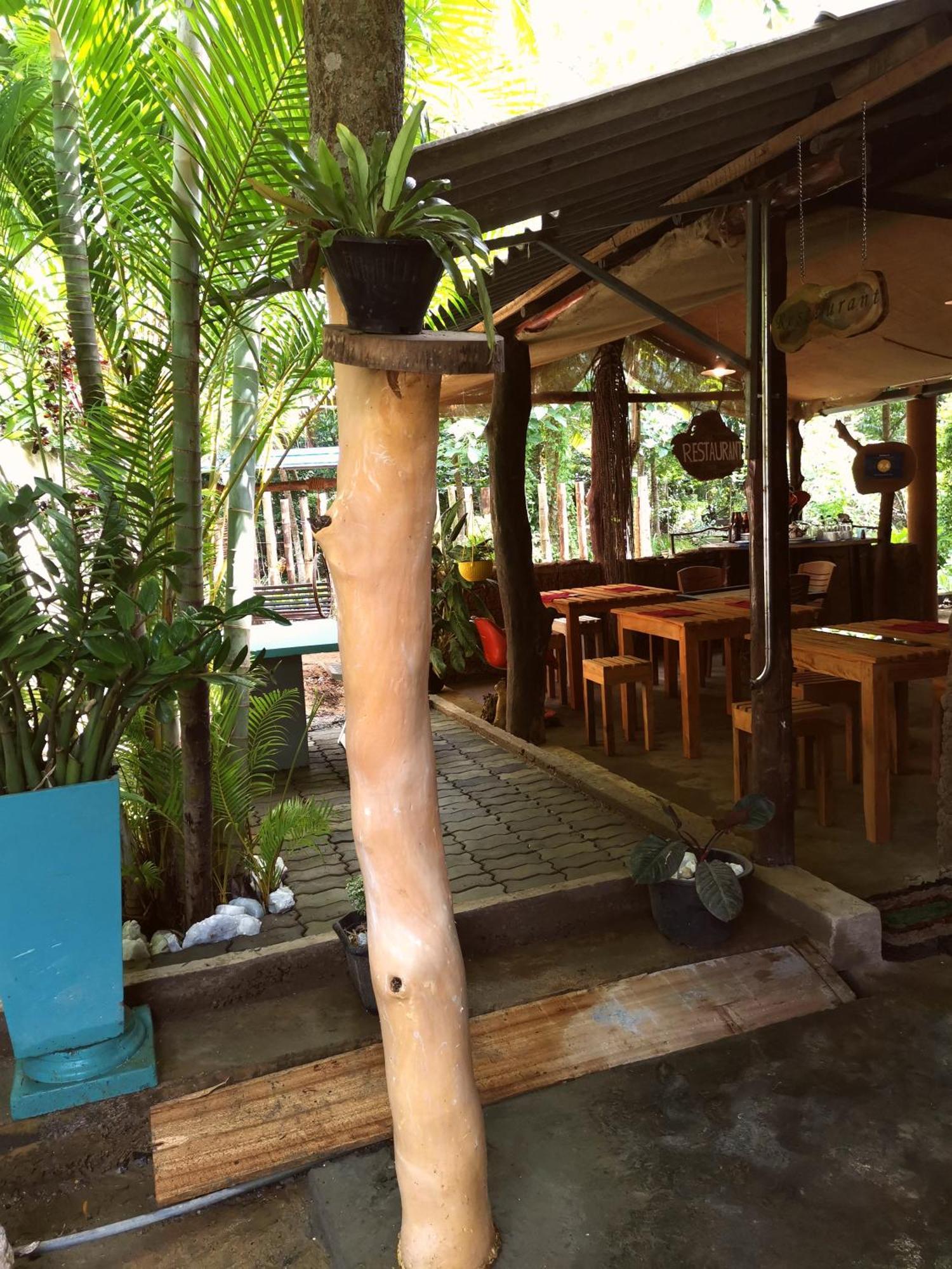 Peacock'S Paradise Safari Hostel Udawalawe Εξωτερικό φωτογραφία